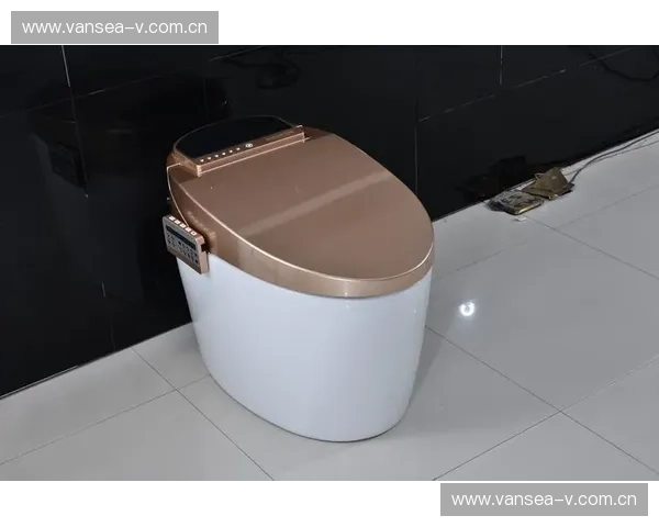 辉煌卫浴以创新设计与品质匠心引领高端卫浴生活新潮流 辉煌卫浴以创新设计与品质匠心引领高端卫浴生活新潮流